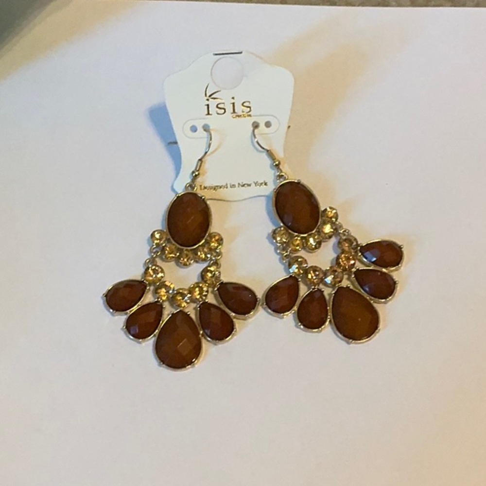 Dangle Hook Back Earrings